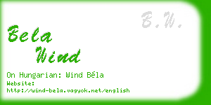 bela wind business card